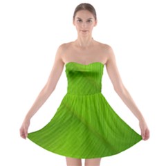 Banana Leaf Strapless Bra Top Dress by artworkshop