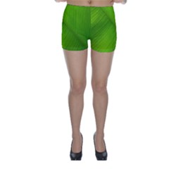 Banana Leaf Skinny Shorts by artworkshop