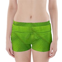 Banana Leaf Boyleg Bikini Wrap Bottoms by artworkshop