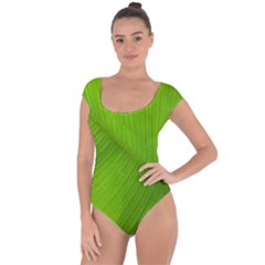 Banana Leaf Short Sleeve Leotard  by artworkshop