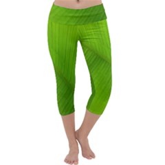 Banana Leaf Capri Yoga Leggings by artworkshop