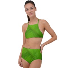 Banana Leaf High Waist Tankini Set by artworkshop