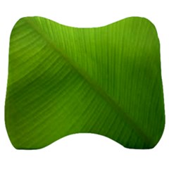 Banana Leaf Velour Head Support Cushion by artworkshop