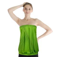 Banana Leaf Strapless Top by artworkshop