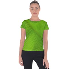 Banana Leaf Short Sleeve Sports Top  by artworkshop