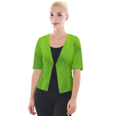 Banana Leaf Cropped Button Cardigan by artworkshop