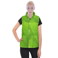 Banana Leaf Women s Button Up Vest by artworkshop