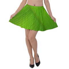 Banana Leaf Velvet Skater Skirt by artworkshop