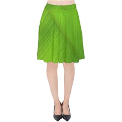 Banana Leaf Velvet High Waist Skirt by artworkshop