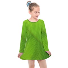 Banana Leaf Kids  Long Sleeve Dress by artworkshop