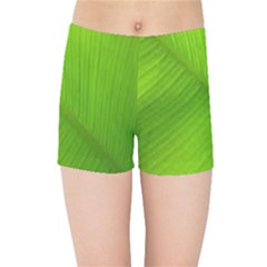 Banana Leaf Kids  Sports Shorts by artworkshop