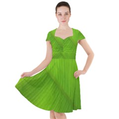 Banana Leaf Cap Sleeve Midi Dress by artworkshop