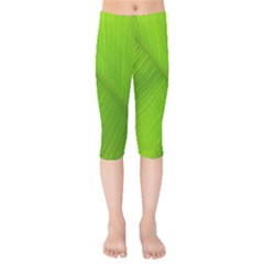 Banana Leaf Kids  Capri Leggings  by artworkshop