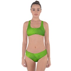 Banana Leaf Criss Cross Bikini Set by artworkshop