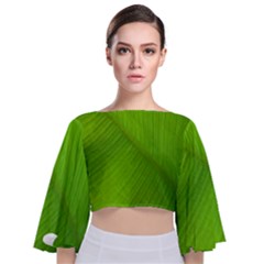 Banana Leaf Tie Back Butterfly Sleeve Chiffon Top by artworkshop