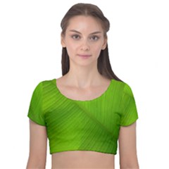 Banana Leaf Velvet Short Sleeve Crop Top  by artworkshop