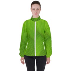 Banana Leaf Women s High Neck Windbreaker by artworkshop