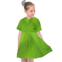 Banana Leaf Kids  Sailor Dress by artworkshop