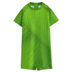 Banana Leaf Kids  Boyleg Half Suit Swimwear by artworkshop