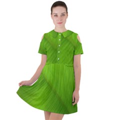 Banana Leaf Short Sleeve Shoulder Cut Out Dress 