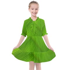 Banana Leaf Kids  All Frills Chiffon Dress by artworkshop