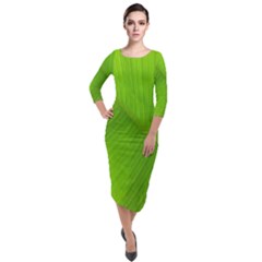 Banana Leaf Quarter Sleeve Midi Velour Bodycon Dress by artworkshop