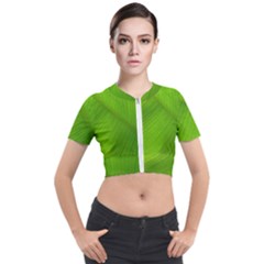 Banana Leaf Short Sleeve Cropped Jacket by artworkshop