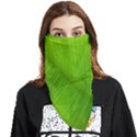 Banana Leaf Face Covering Bandana (Triangle) View1