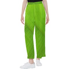 Banana Leaf Women s Pants  by artworkshop