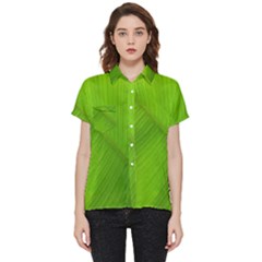 Banana Leaf Short Sleeve Pocket Shirt by artworkshop