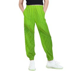 Banana Leaf Kids  Elastic Waist Pants by artworkshop