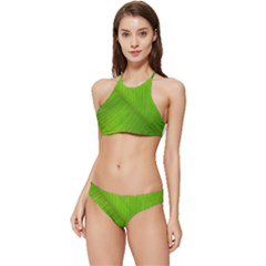 Banana Leaf Banded Triangle Bikini Set by artworkshop