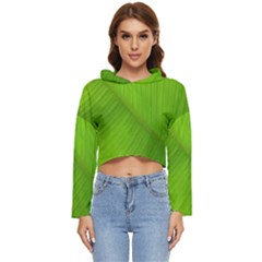 Banana Leaf Women s Lightweight Cropped Hoodie by artworkshop