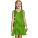 Banana Leaf Kids  Sleeveless Tiered Mini Dress View1