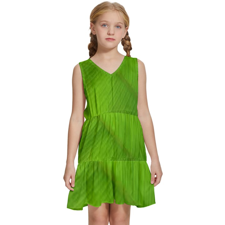 Banana Leaf Kids  Sleeveless Tiered Mini Dress