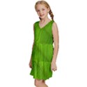 Banana Leaf Kids  Sleeveless Tiered Mini Dress View2