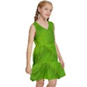 Banana Leaf Kids  Sleeveless Tiered Mini Dress View3