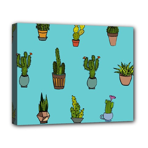 Succulents Teal Back Deluxe Canvas 20  X 16  (stretched)