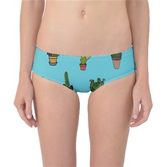 Succulents Teal Back Classic Bikini Bottoms