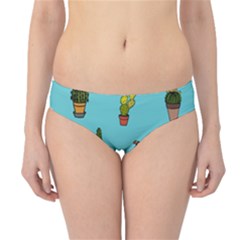 Succulents Teal Back Hipster Bikini Bottoms