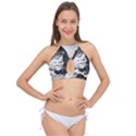 Matterhorn-switzerland-mountain Cross Front Halter Bikini Top View1