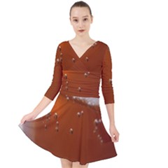 Bubble Beer Quarter Sleeve Front Wrap Dress