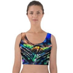 Peacock Feather Drop Velvet Crop Top by artworkshop