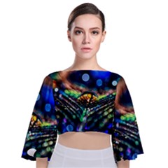 Peacock Feather Drop Tie Back Butterfly Sleeve Chiffon Top