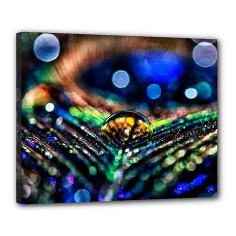 Peacock Feather Drop Canvas 20  X 16  (stretched) by artworkshop