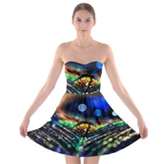 Peacock Feather Drop Strapless Bra Top Dress by artworkshop