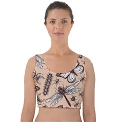 Vintage-drawn-insect-seamless-pattern Velvet Crop Top