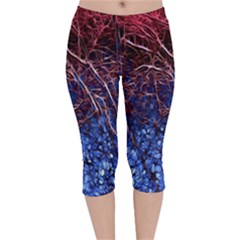 Autumn Fractal Forest Background Velvet Capri Leggings  by Amaryn4rt