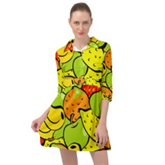 Fruit Food Wallpaper Mini Skater Shirt Dress