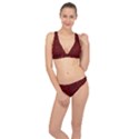 Micro Blood Red Cats Classic Banded Bikini Set  View1